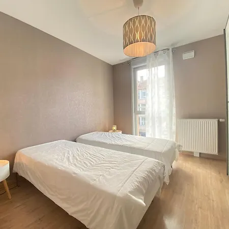 Apartment Centre-ville Annecy, 2 Ch, Animaux Admis, Parking Prive - Fr-1-432-91 *